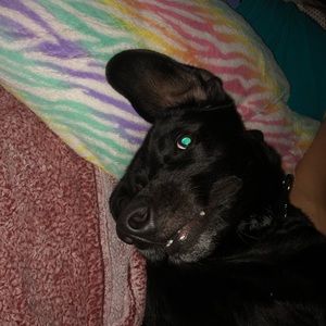 Meet your Posher, Halie